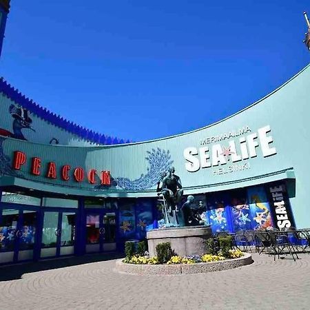 Brand New Modern Condo Built-In Mall Of Tripla 헬싱키 외부 사진
